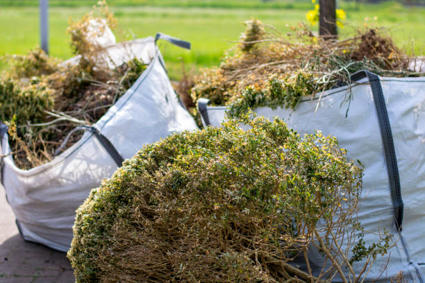 Best Yard Cleanup Services  in Pine Island, MN