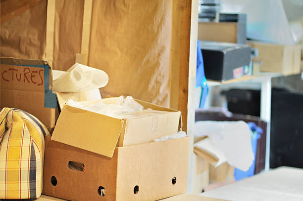 Best Attic Cleanout Services  in Pine Island, MN